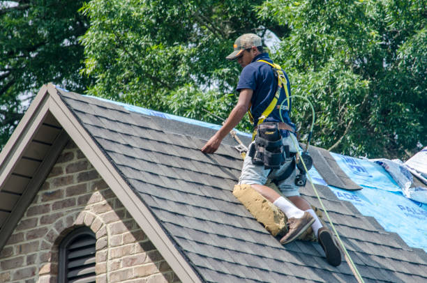 Roof Installation Near Me in Springfield, FL